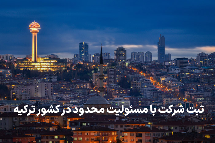 شرکت سهامی در ترکیه