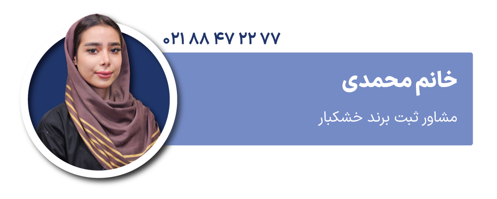 خانم محمدی مشاور ثبت برند خشکبار