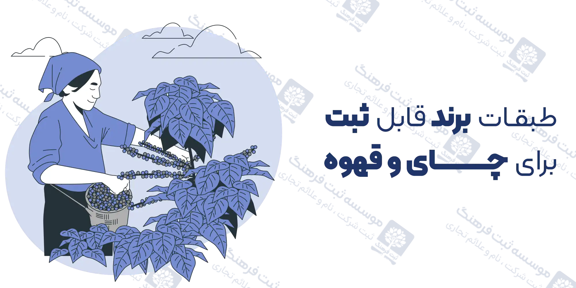 طبقات برند قابل ثبت برای چای و قهوه