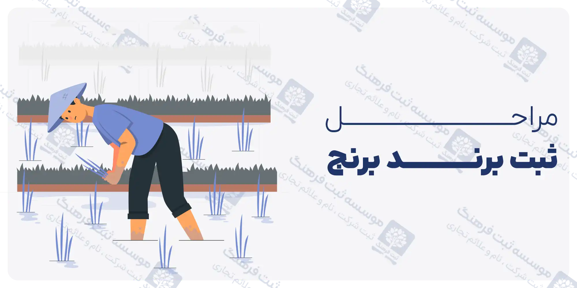 مراحل ثبت برند برنج