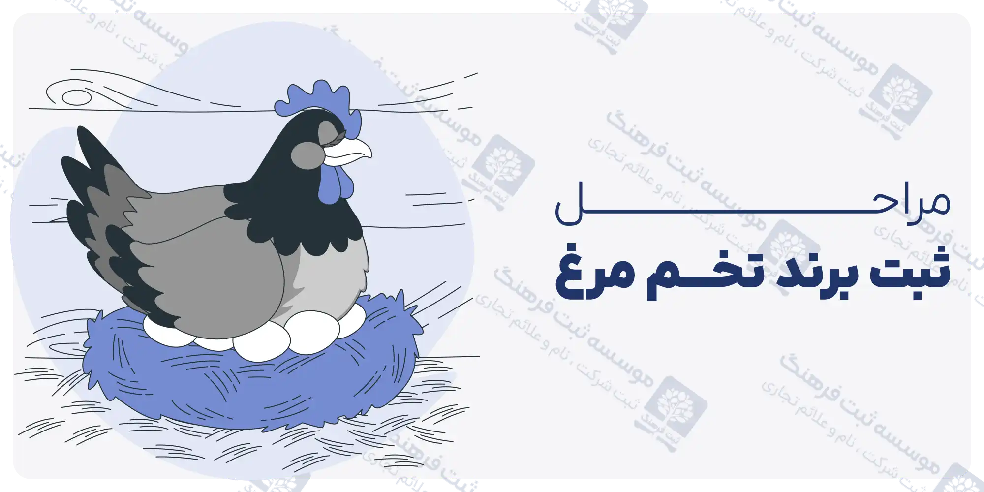 مراحل ثبت برند تخم مرغ